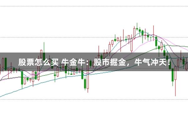 股票怎么买 牛金牛：股市掘金，牛气冲天！