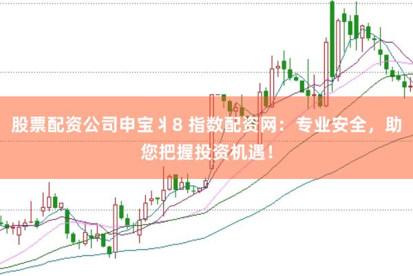 股票配资公司申宝丬8 指数配资网：专业安全，助您把握投资机遇！