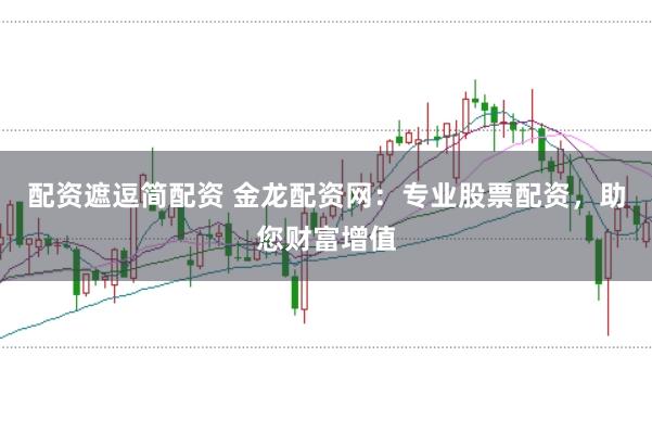配资遮逗简配资 金龙配资网：专业股票配资，助您财富增值