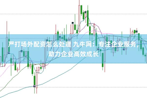 严打场外配资怎么处理 九牛网：专注企业服务，助力企业高效成长