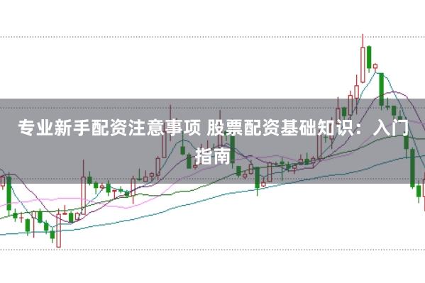 专业新手配资注意事项 股票配资基础知识：入门指南