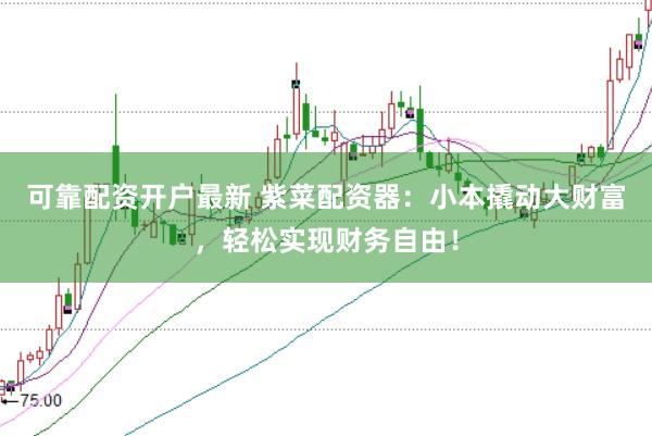 可靠配资开户最新 紫菜配资器：小本撬动大财富，轻松实现财务自由！