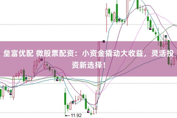 垒富优配 微股票配资：小资金撬动大收益，灵活投资新选择！